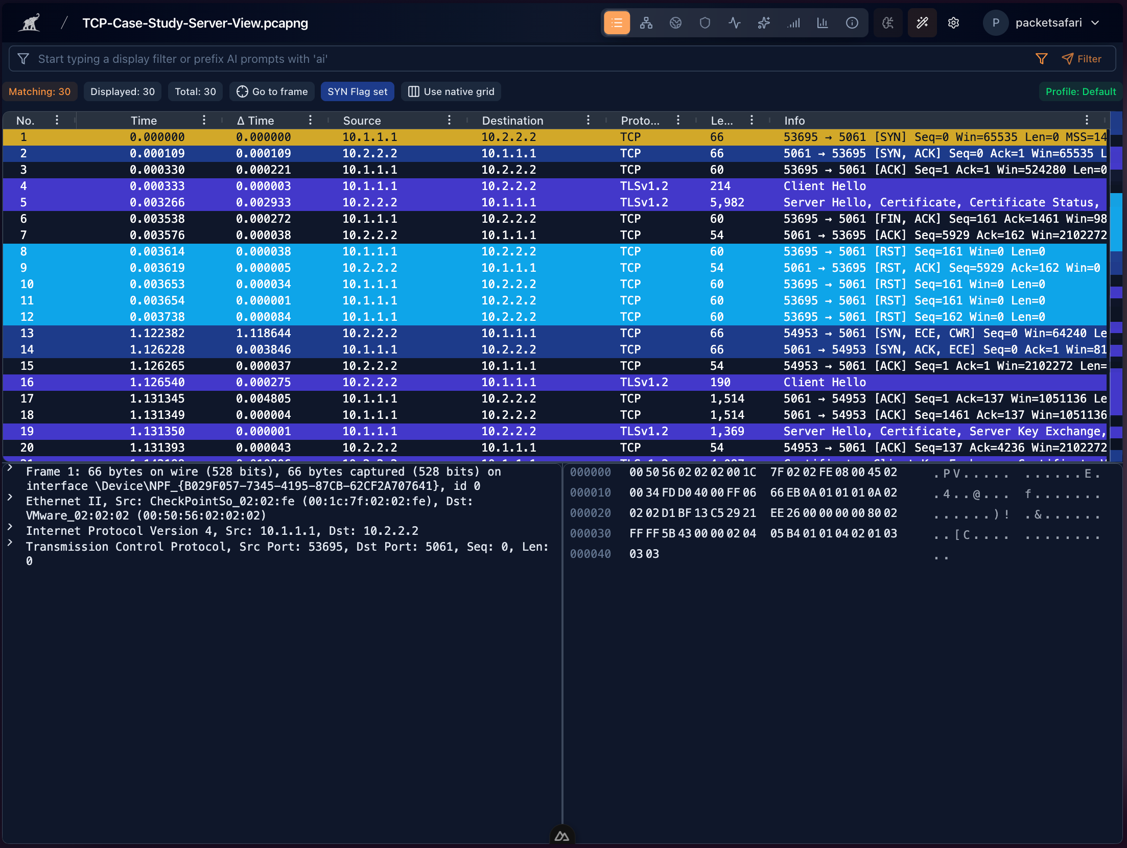 PacketSafari Analyzer showing a display filter, colored packet rows, protocol fields, and packet bytes